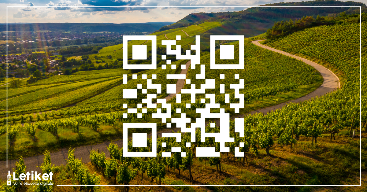 nouvelles-regles-de-letiquetage-des-vins-ingredients-allergenes-et-valeurs-energetiques-blog-letiket-digitalisez-vos-etiquettes-e-label-QR-codes-2